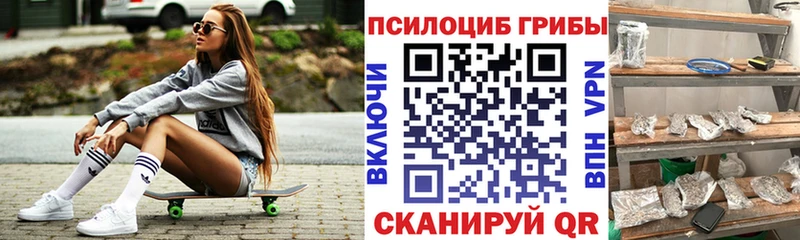 Галлюциногенные грибы GOLDEN TEACHER  где найти наркотики  Новотитаровская 