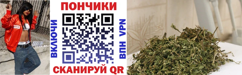 Конопля SATIVA & INDICA  где можно купить наркотик  это телеграм  Новотитаровская 